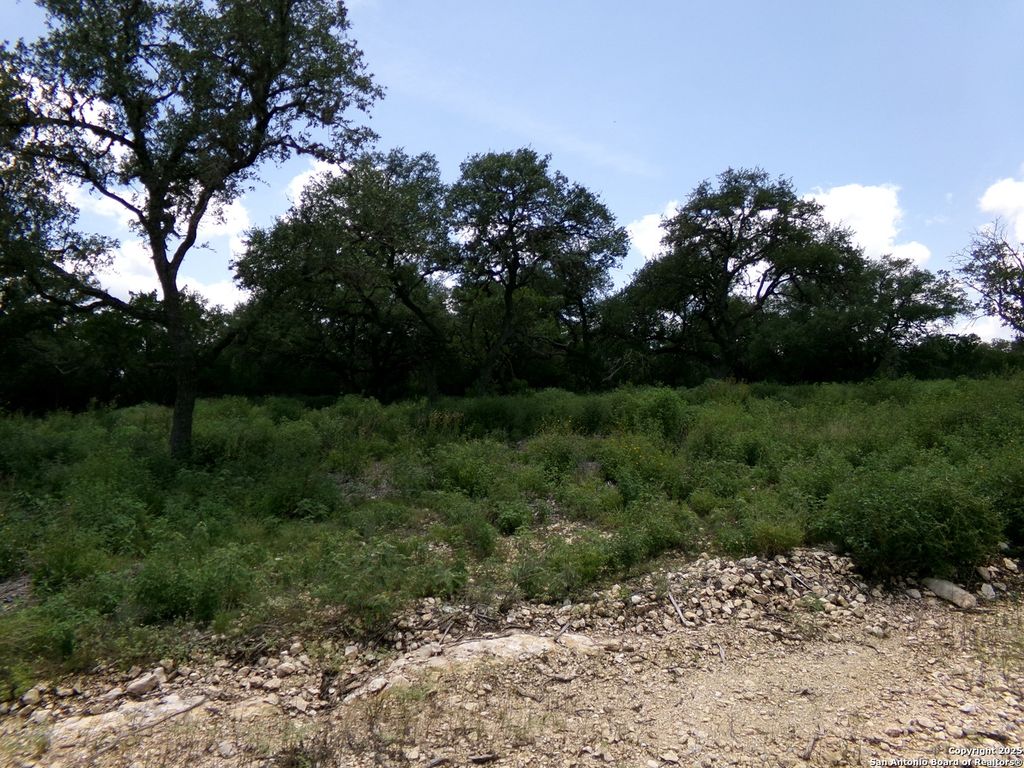 Photo of 1881 Grand Oaks, Hondo, TX 78861 (MLS # 1883693)