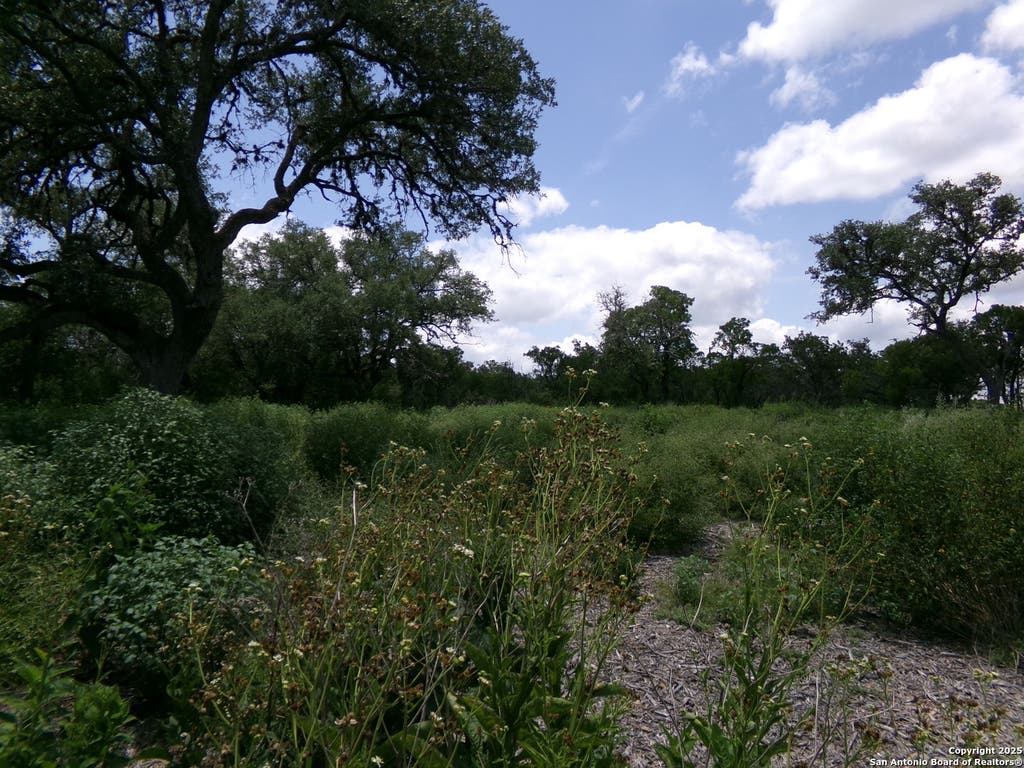Photo of 1881 Grand Oaks, Hondo, TX 78861 (MLS # 1883693)