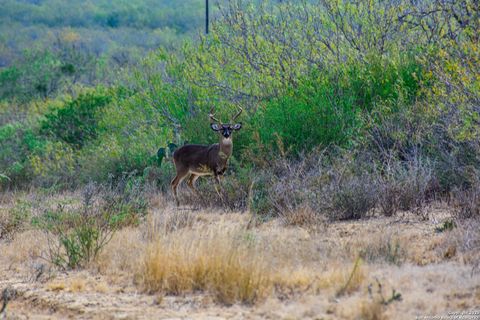 000 Easement Road Laredo TX 78401