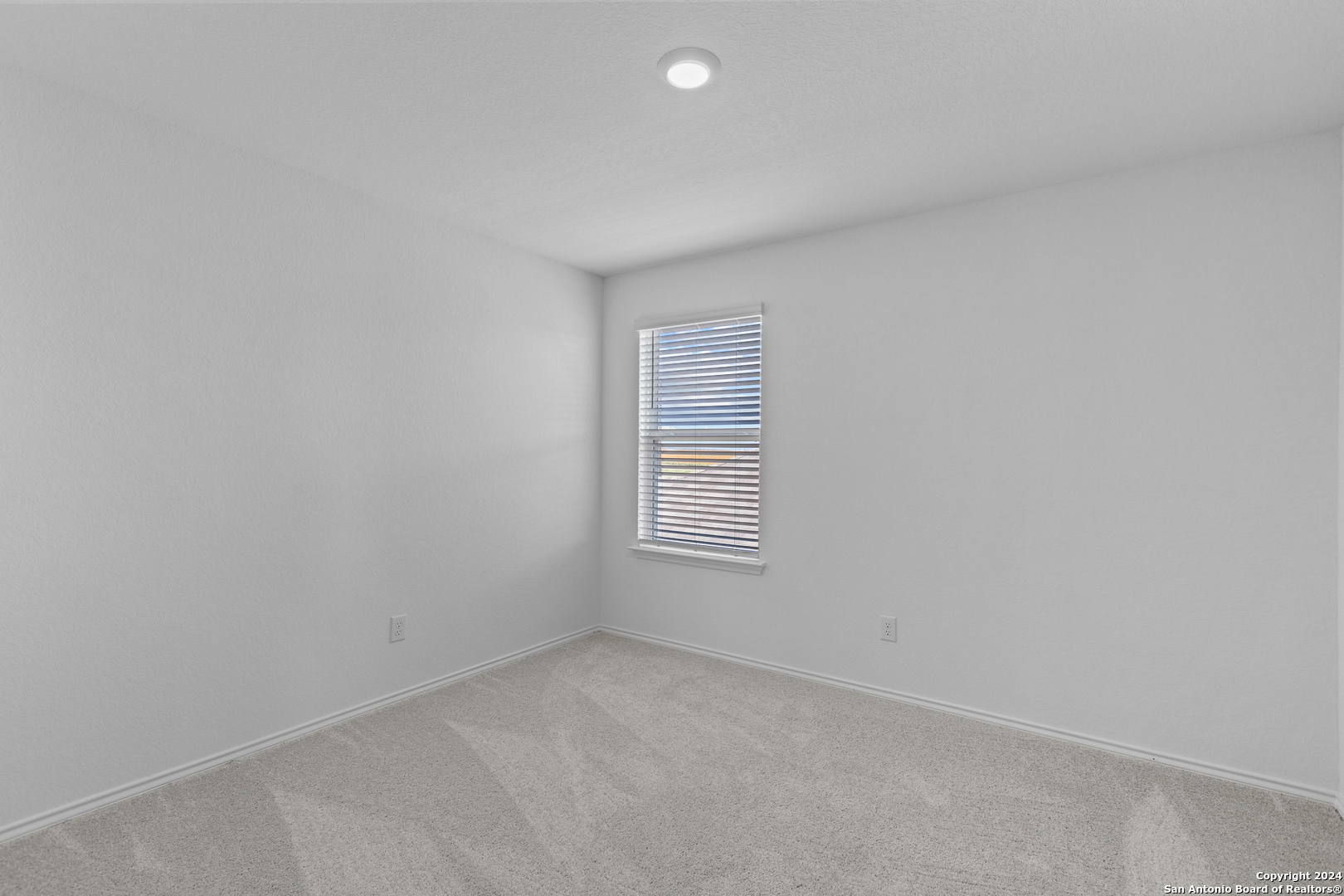 5243 Seagrass