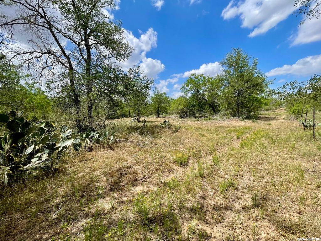 Photo of 2566 FM 539, La Vernia, TX 78121 (MLS # 1957843)