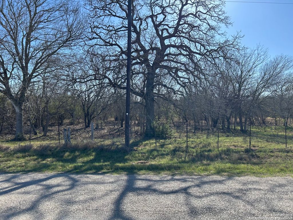 Photo of 4870 Blackhill, Floresville, TX 78114 (MLS # 1849321)