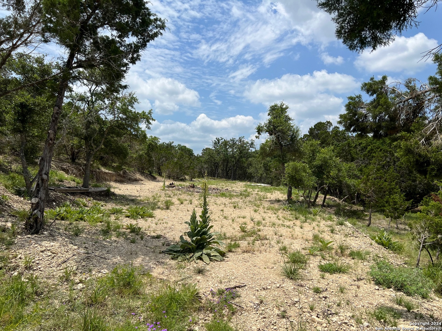 Canyon Lake, Texas 78133, United States, ,Land,Pending,55364