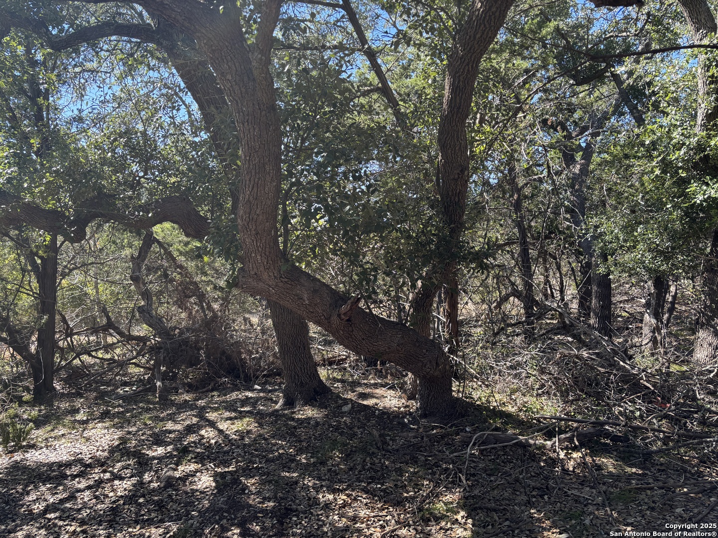 LOT 86 Headwaters Ranch Road