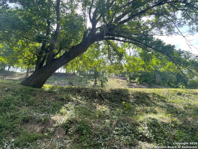 LOT 247 & 248 river forest