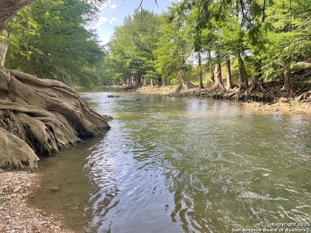 LOT 247 & 248 river forest