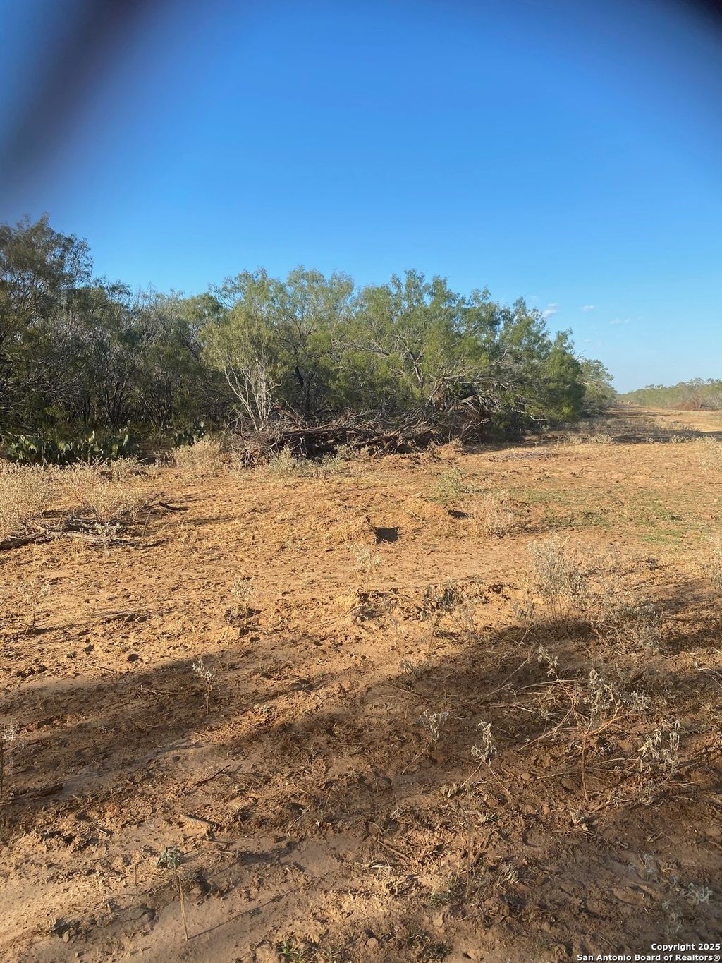 Photo of TBD CR 168, Floresville, TX 78114 (MLS # 1923706)