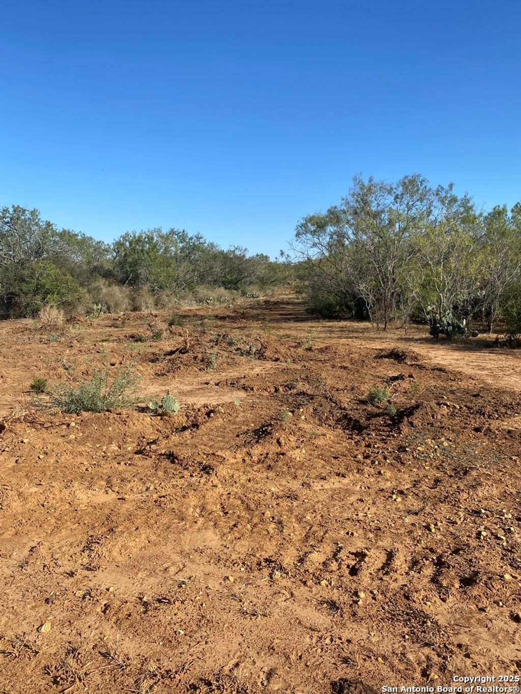 Photo of TBD CR 168, Floresville, TX 78114 (MLS # 1923706)