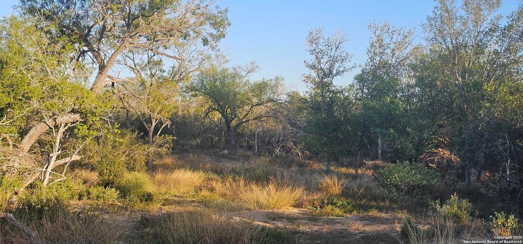 Photo of 109 Sylas Hayes, Pleasanton, TX 78064 (MLS # 1923046)