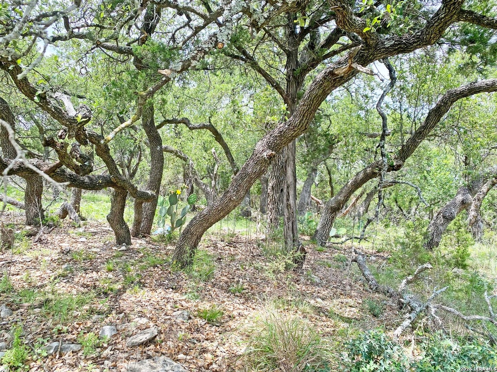 Photo of 25726 ECHO MTN, San Antonio, TX 78260 (MLS # 1963783)
