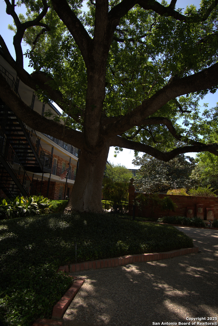 8401 New Braunfels 125