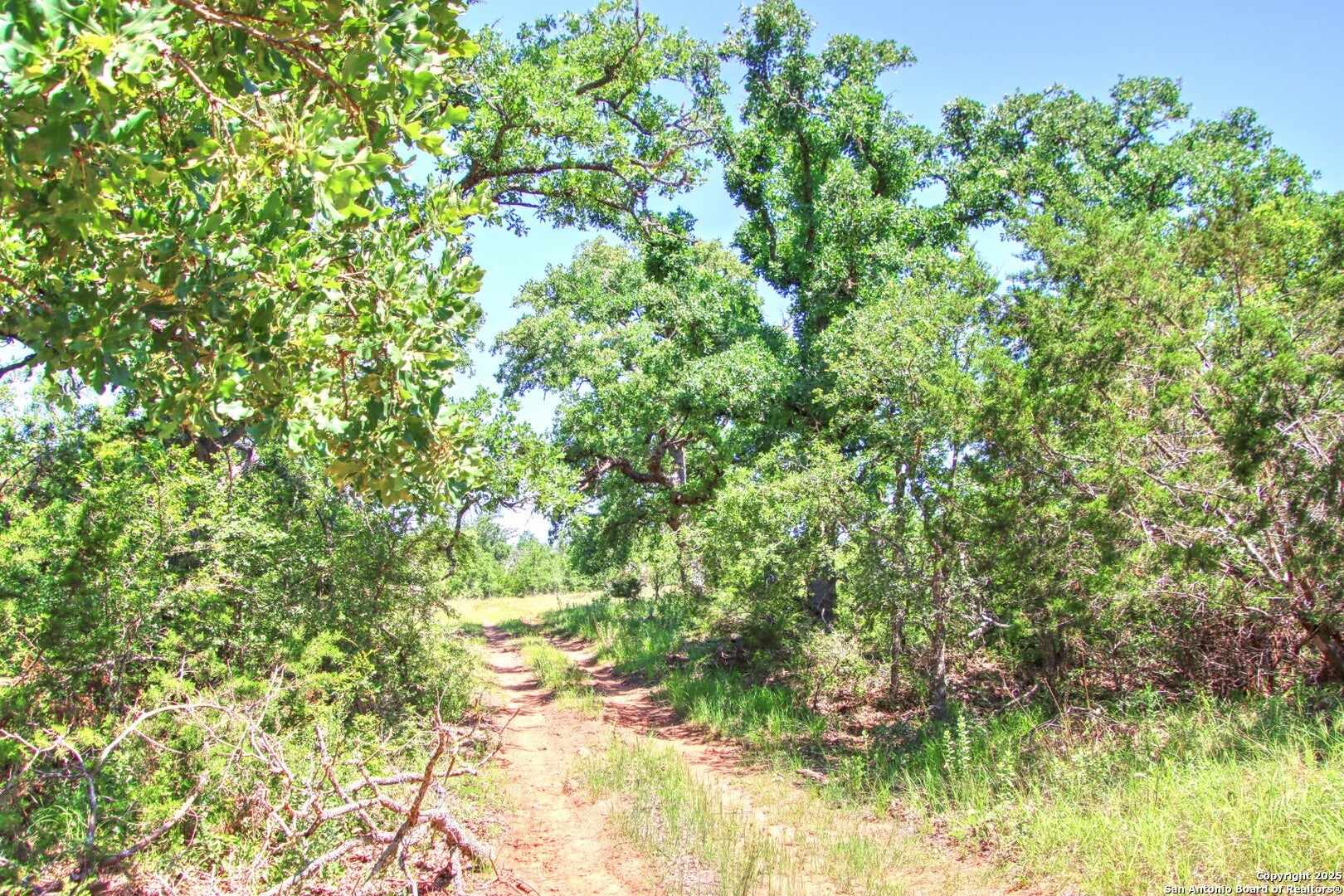LOT 6 RR 1323