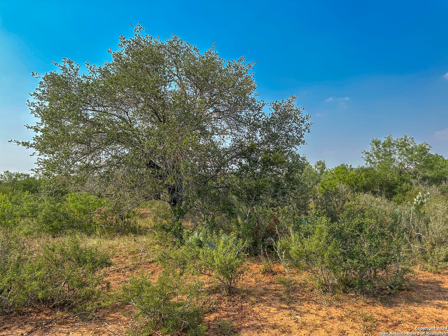 000 County Road 429