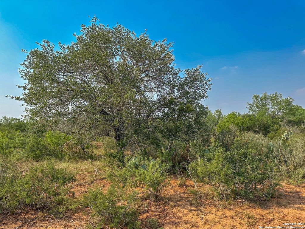 Photo of 000 County Road 429, Pleasanton, TX 78064 (MLS # 1866408)