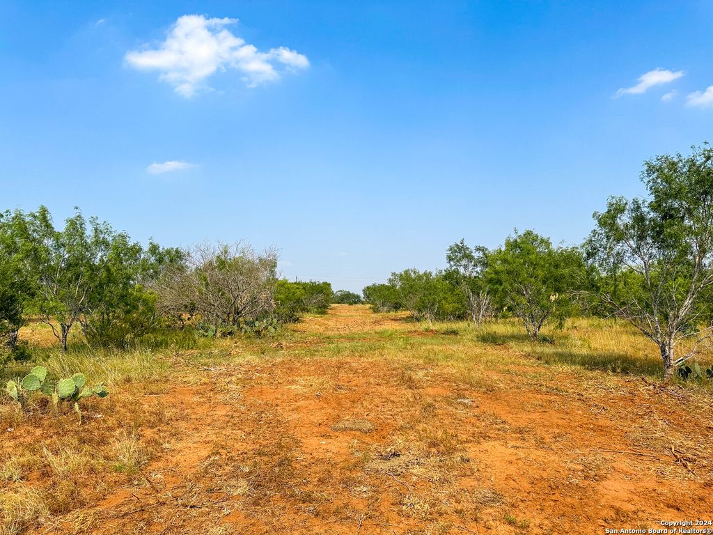 Photo of 000 County Road 429, Pleasanton, TX 78064 (MLS # 1866408)