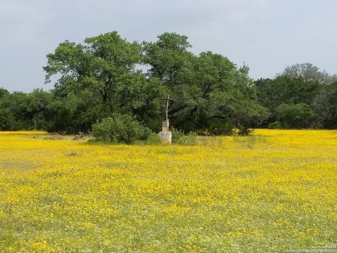 1263 Agaritaville Spring Branch TX 78070