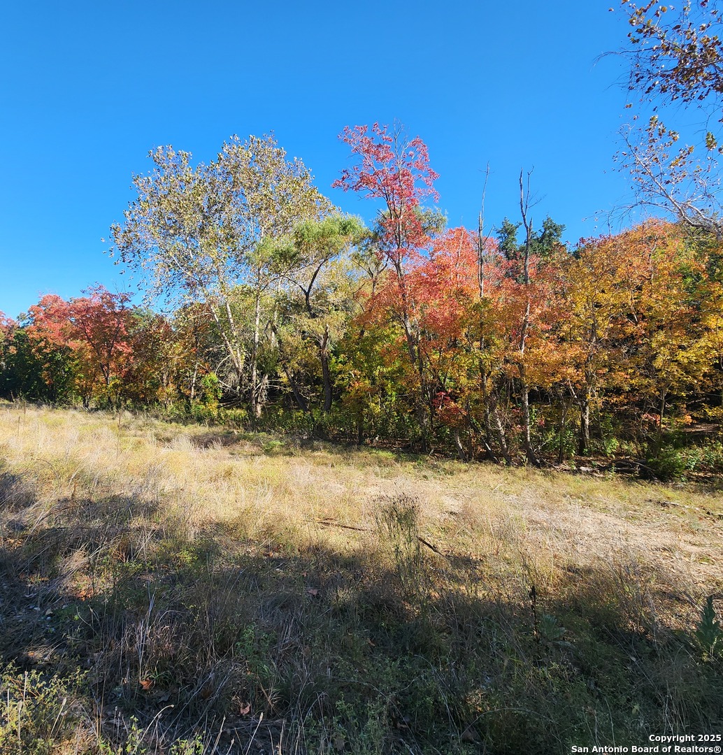 0 School St & San Antonio