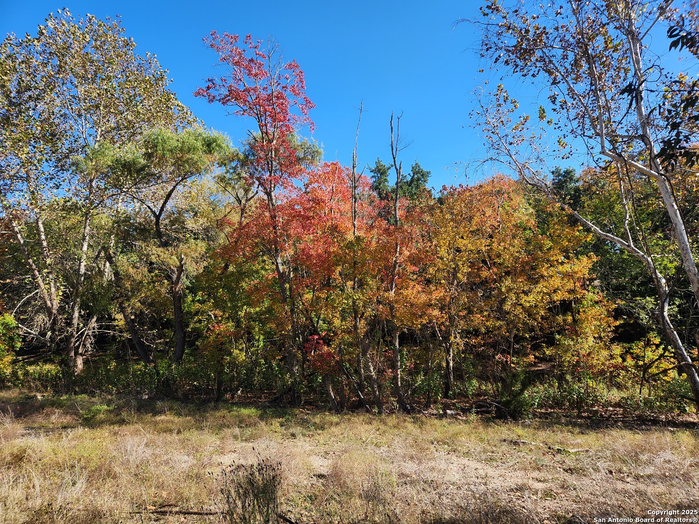 0 School St & San Antonio