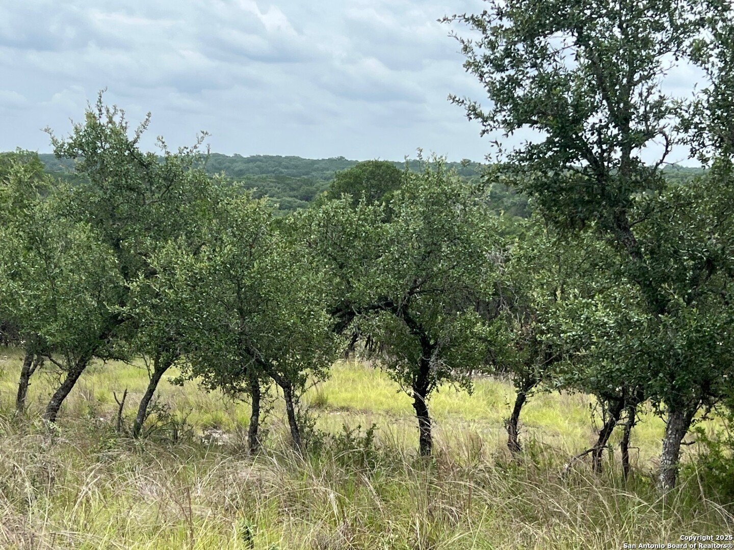 LOT 19 Monterey