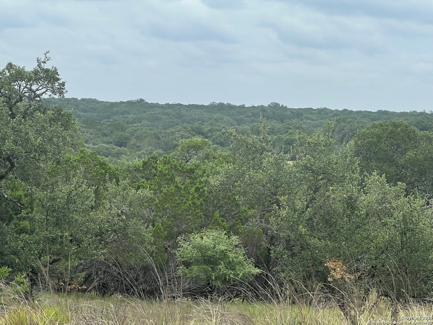 LOT 19 Monterey