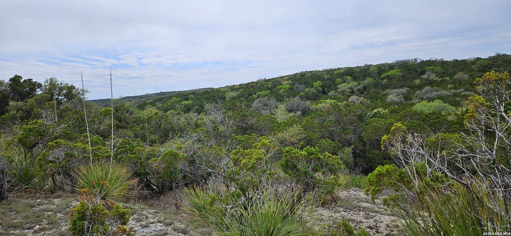 Photo of 21207 Scenic Loop, Helotes, TX 78023 (MLS # 1991856)