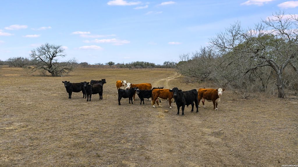 Photo of 000 County Road 454, Stockdale, TX 78160 (MLS # 1948568)