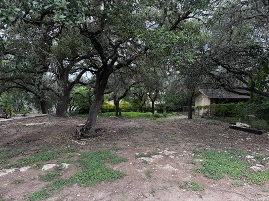 1239 AMANDA # 334, CANYON LAKE, TX 78133 - Image fc5df1db0d12ebe7e5cd56d569db558e/2566211475