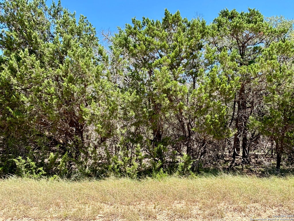 Photo of LOT 36-37 Wyatt Earp, Bandera, TX 78003 (MLS # 1887389)