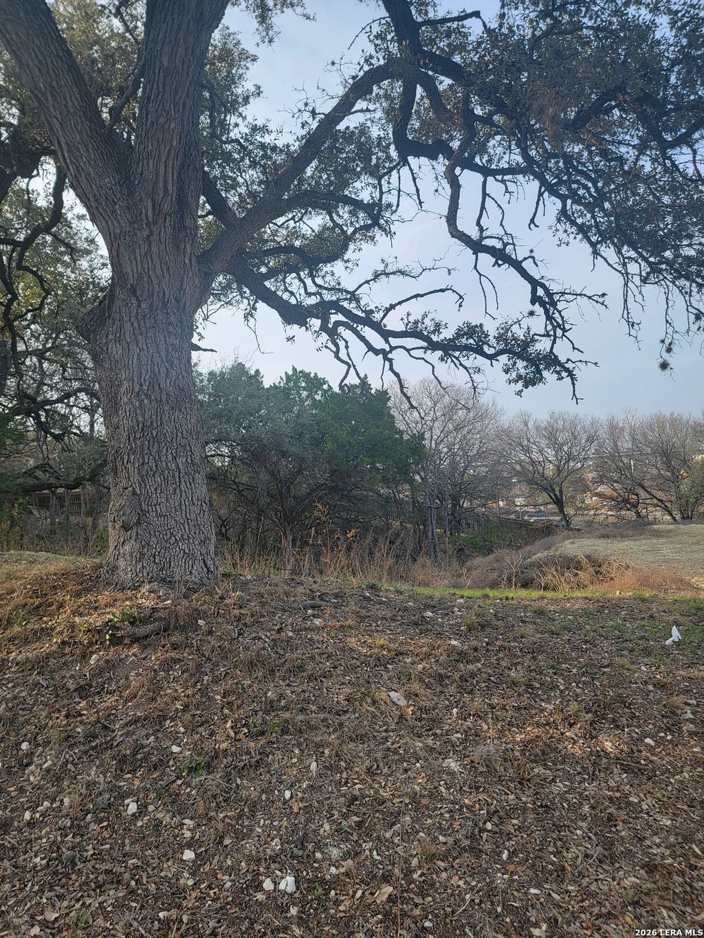 Photo of 14922 Medusa, Selma, TX 78154 (MLS # 1943259)