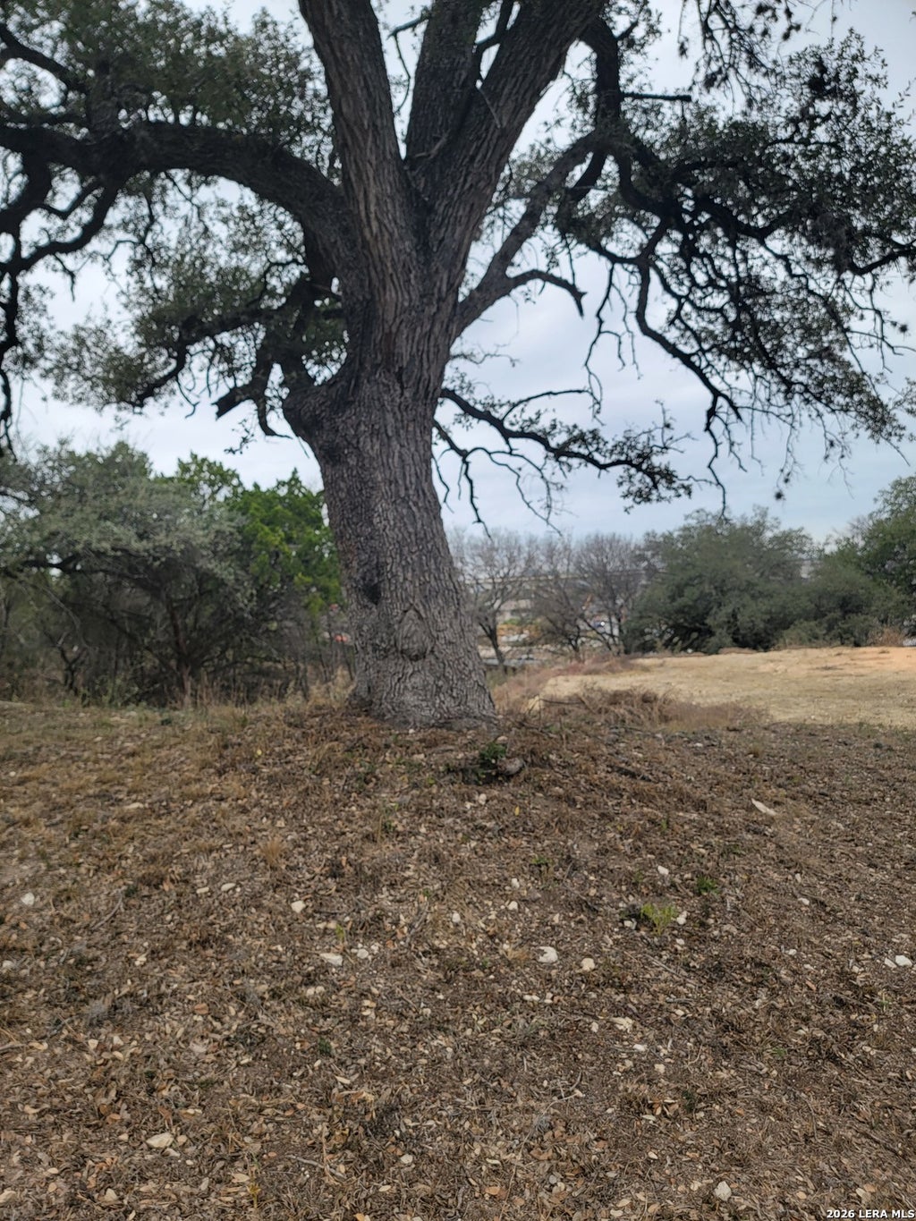 Photo of 14922 Medusa, Selma, TX 78154 (MLS # 1943259)