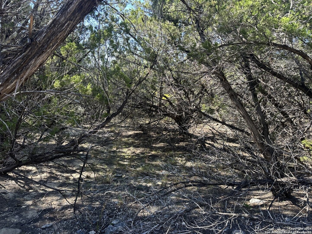 Photo of LOT 191 Antler Run, Pipe Creek, TX 78063 (MLS # 1825090)