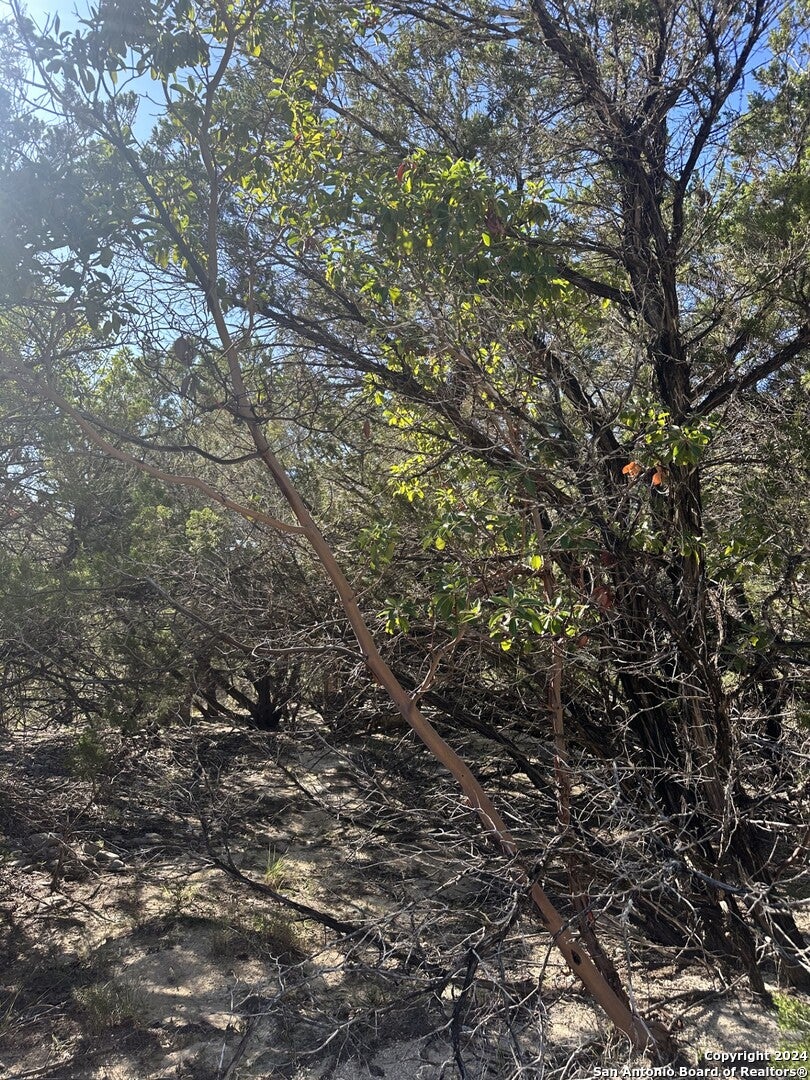 Photo of LOT 191 Antler Run, Pipe Creek, TX 78063 (MLS # 1825090)