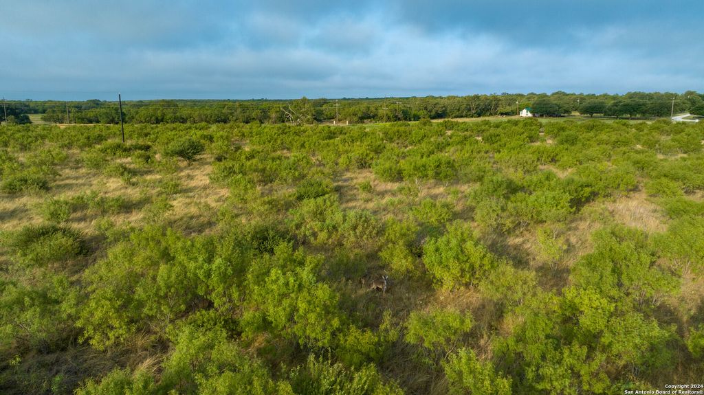 Photo of +/- 24.6 ACRES Hwy 173, Devine, TX 78016 (MLS # 1887795)