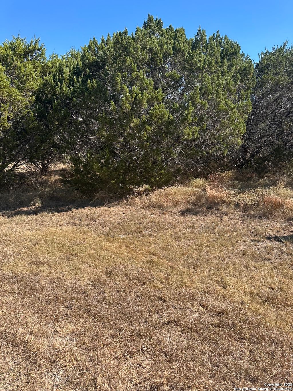 Photo of 349 Valley Star, Canyon Lake, TX 78133 (MLS # 1915692)