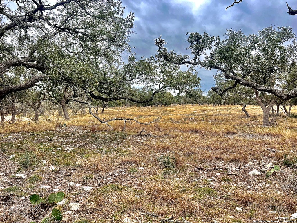 Photo of LOT 8 Cattlemans Crossing, Kerrville, TX 78028 (MLS # 1746195)
