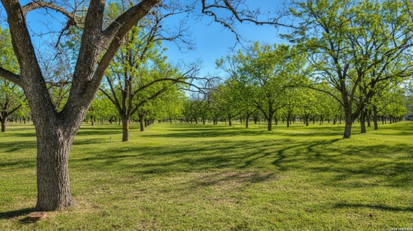 400 JOHNNY SEIBERT LN, LEAKEY, TX 78873 - Image fcc439b3ec94aa18ca01bbc9d2e02bbf/1551505162