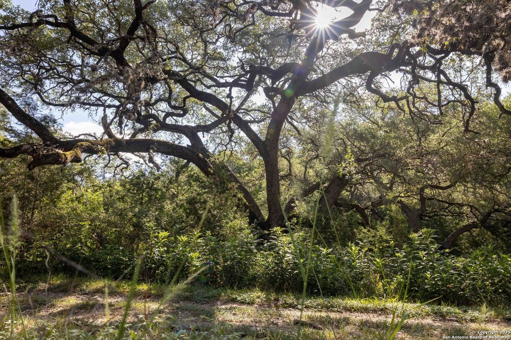 Photo of 7622 RAMBLE RDG, San Antonio, TX 78266 (MLS # 1973485)