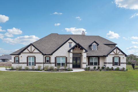 1138 Cape May Warbler New Braunfels TX 78132