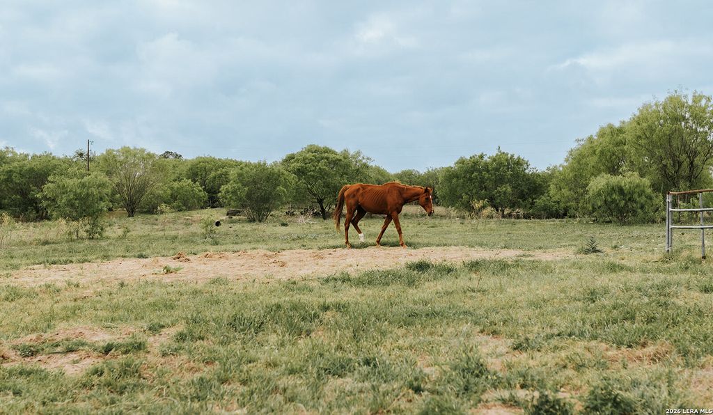 Photo of 1065 fm 477, Seguin, TX 78155 (MLS # 1955315)