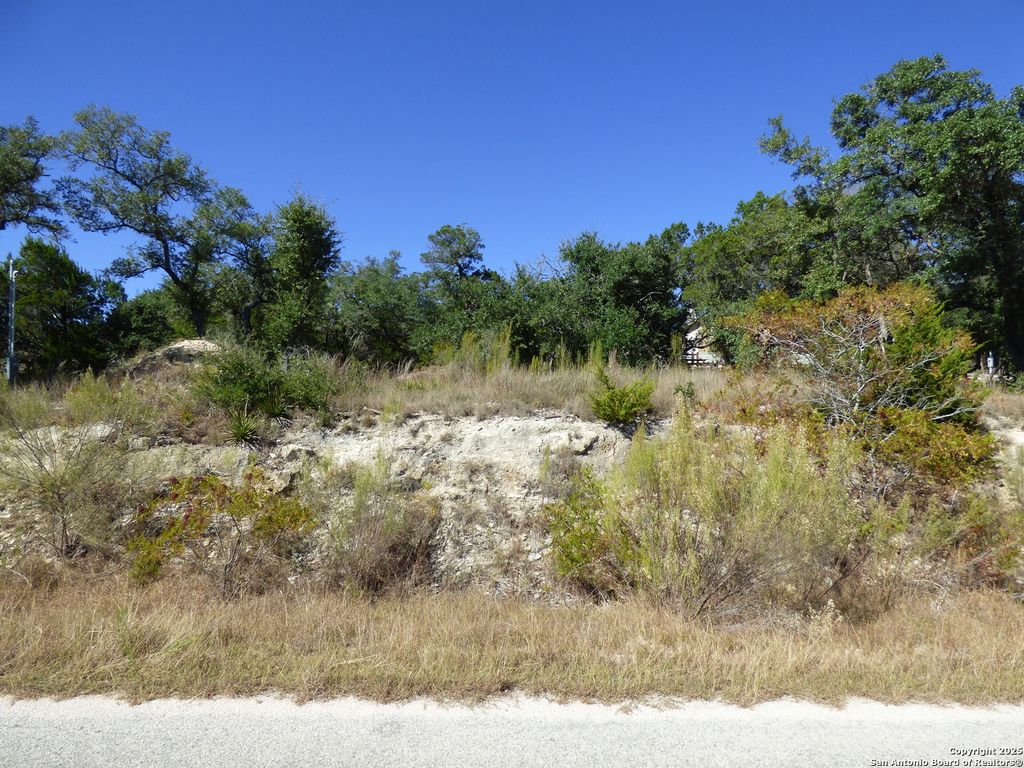Photo of 198 Magnolia Meadow, Canyon Lake, TX 78133 (MLS # 1919047)