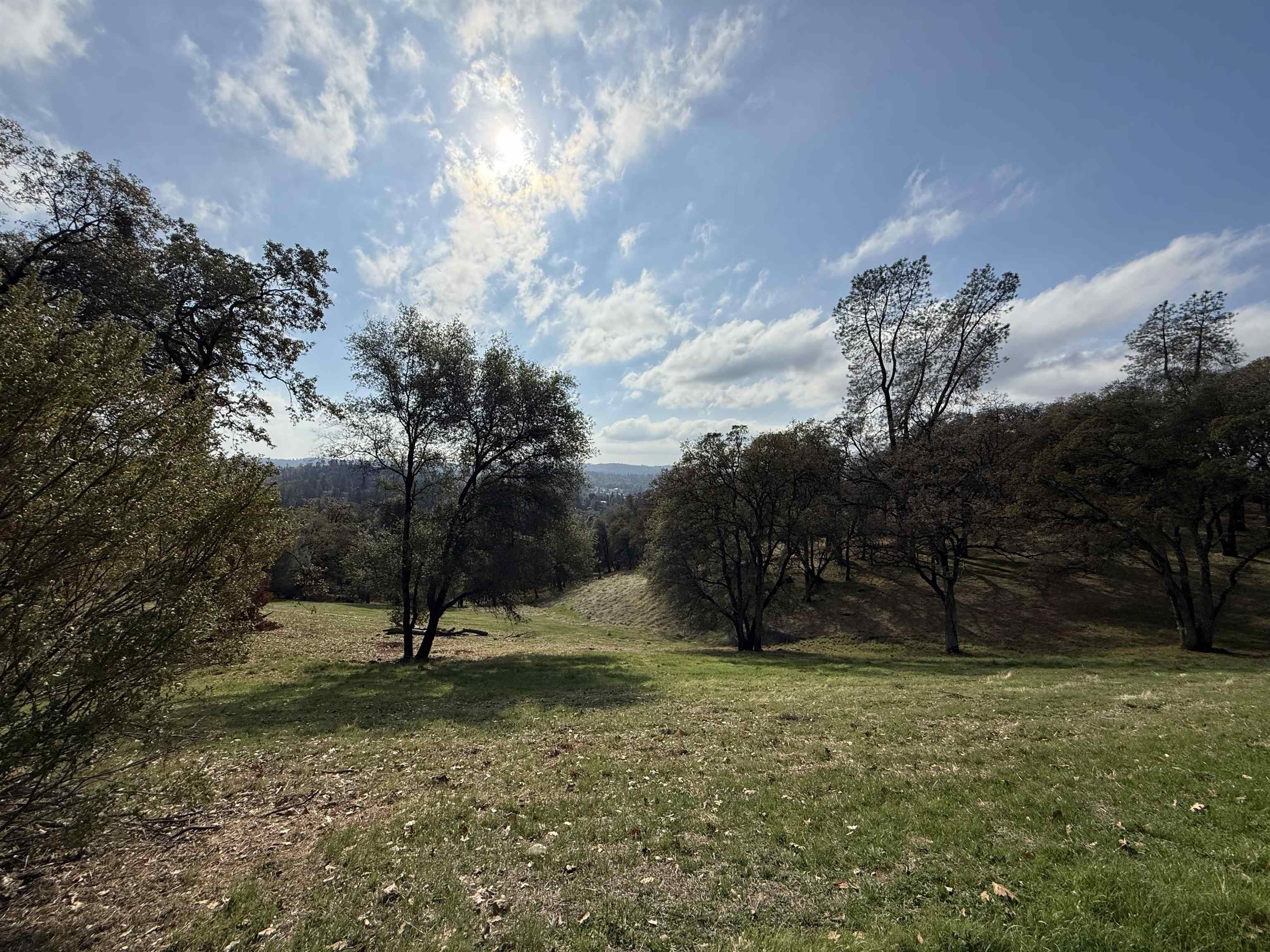 23021 Darkhorse Drive