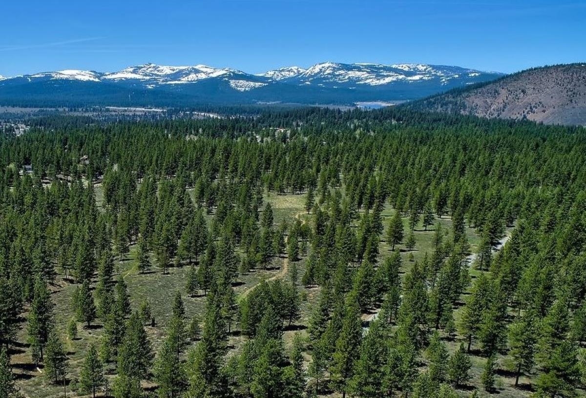 002 Martis Peak Road