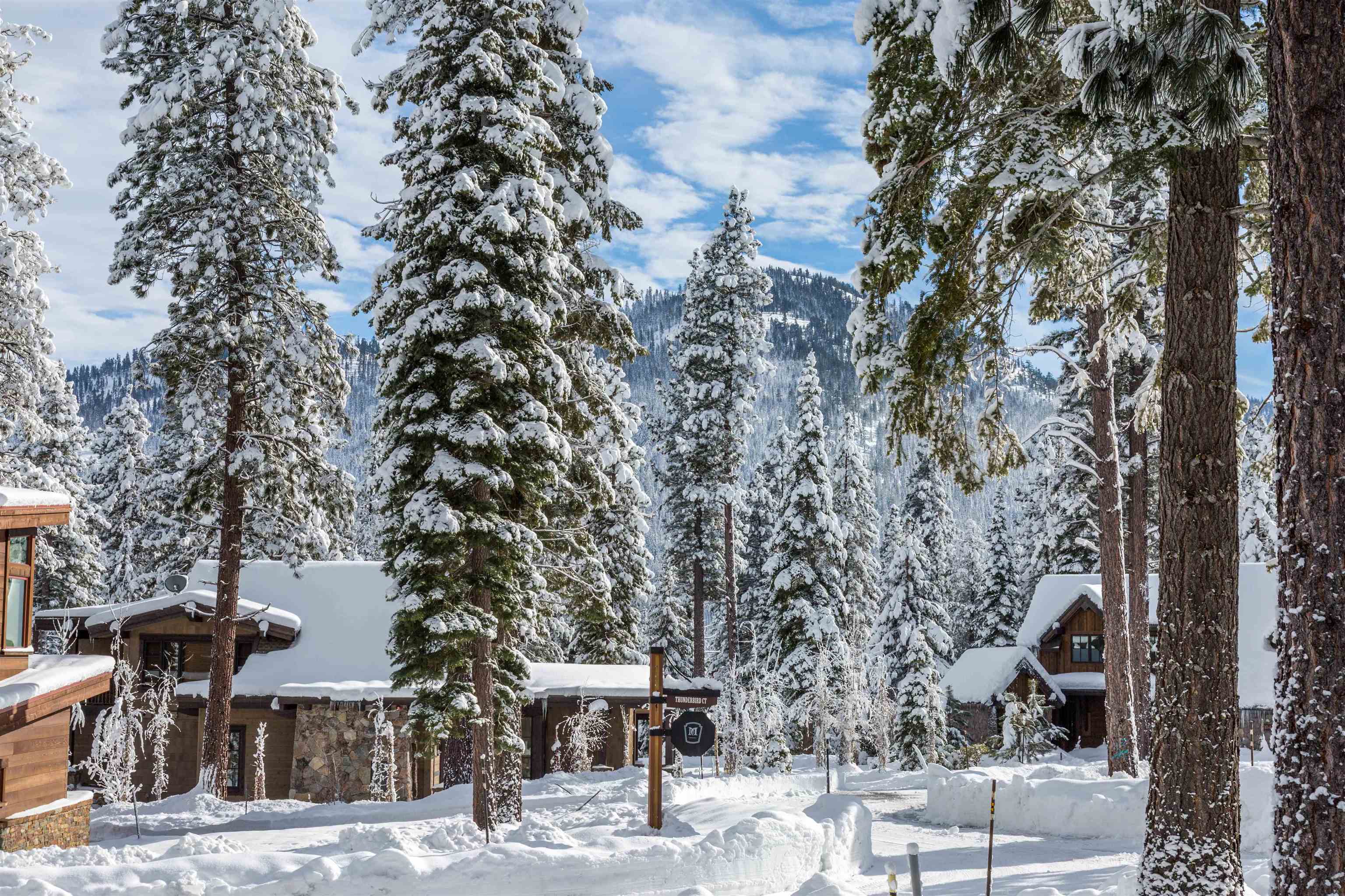 10420 Thunderbird Court