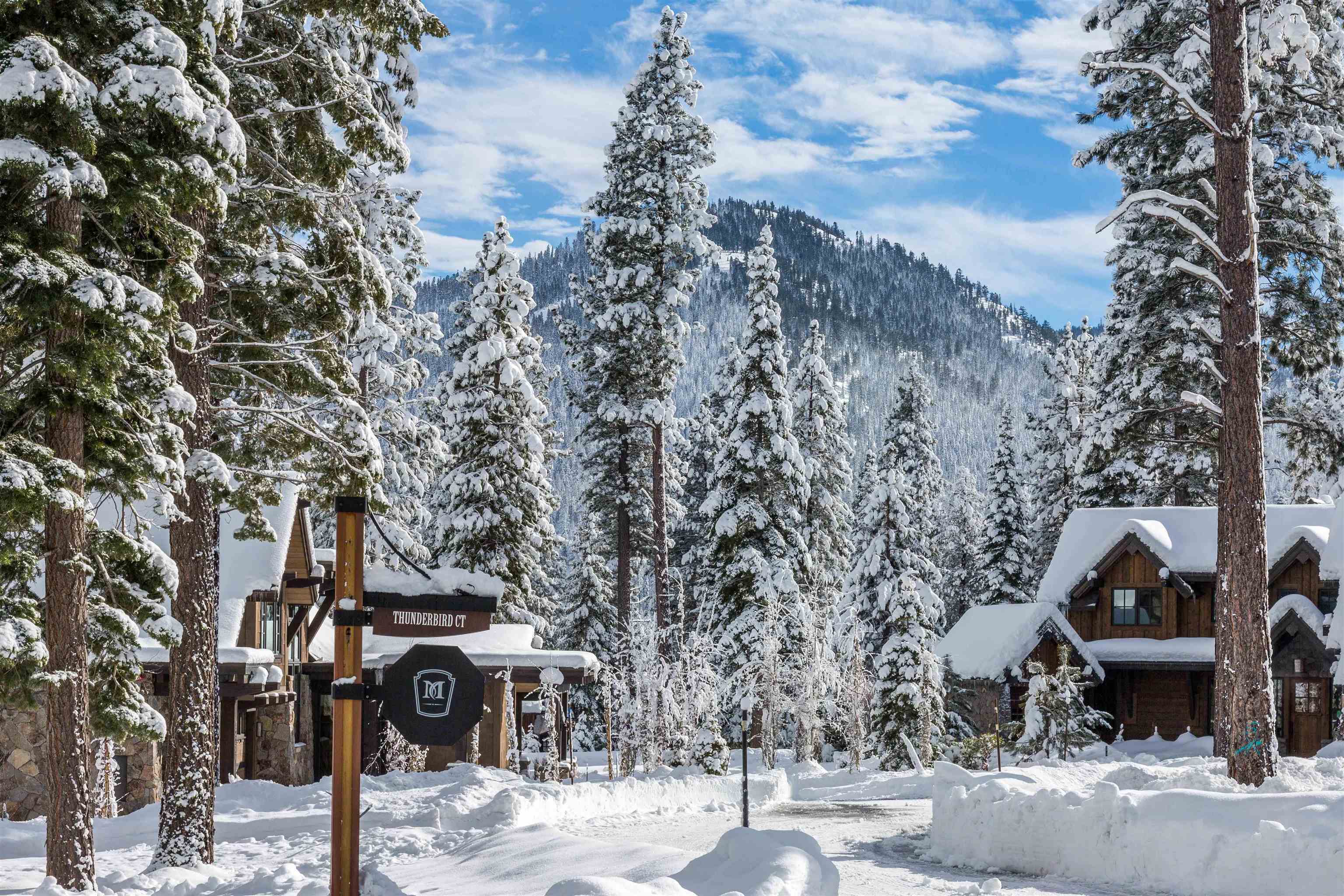 10420 Thunderbird Court