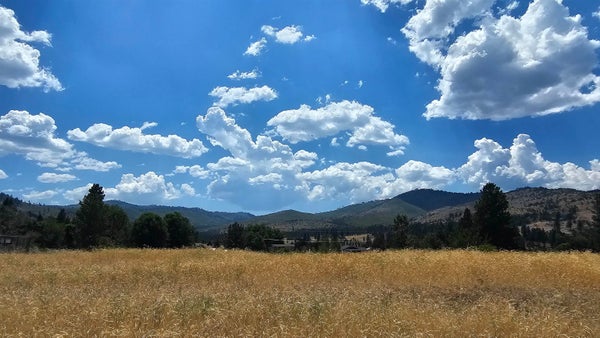 123 SMITHNECK RD, LOYALTON, CA 96118 - Image 34bf0e86b47a65ae6a0af6685dfe7d0a/2425403359