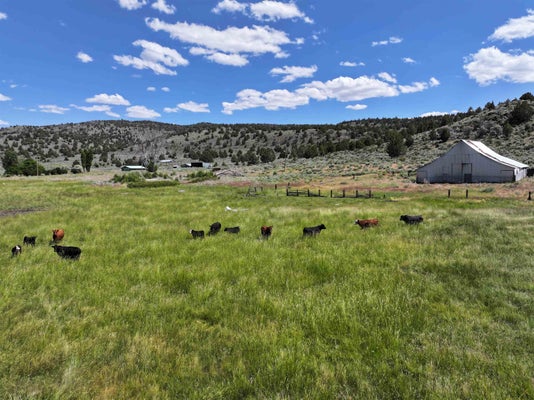 705-400 US-395 E, SUSANVILLE, CA 96130 - Image 3a73a4c37c2de19f7e996ccbbcc8bbec/3333363187