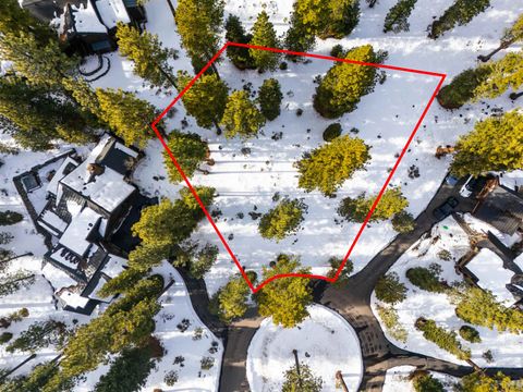 110 Bob Watson Truckee CA 96161