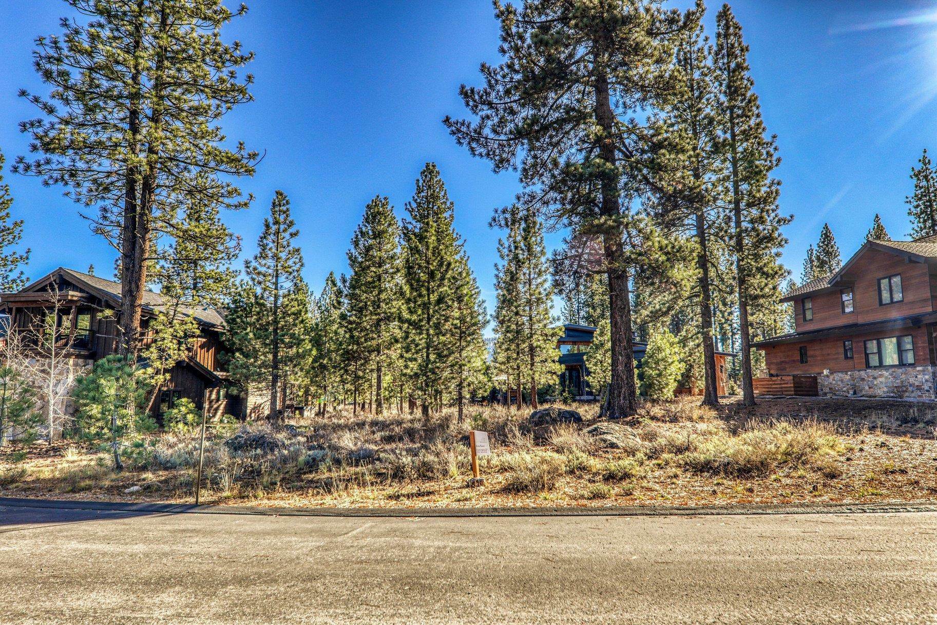 10020 Chaparral Court