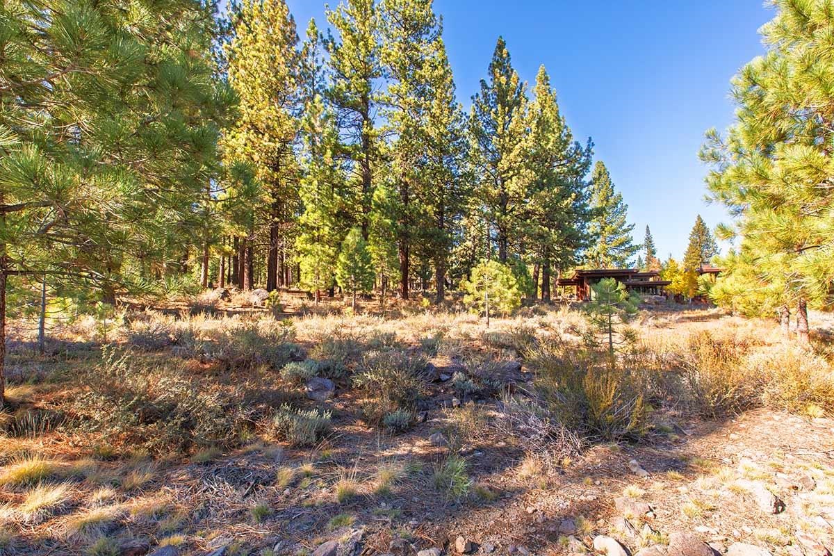 13131 Snowshoe Thompson Circle
