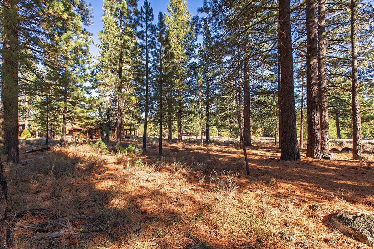 13131 Snowshoe Thompson Circle